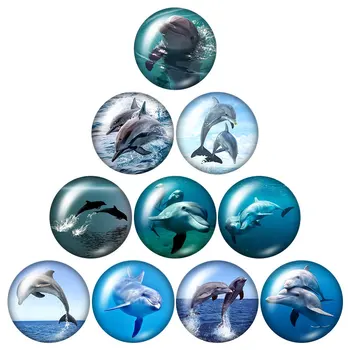 A vida marinha Bonito dolphin Amigos 10pcs misto de 12mm/16mm/18mm/25mm Rodada foto cabochão de vidro demo televisão volta a Fazer descobertas