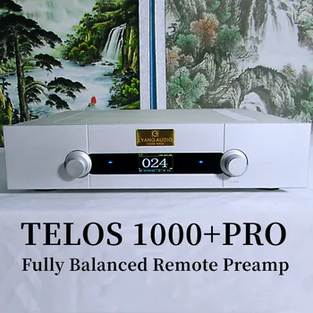 Pré-amplificador de T1000 PRO Tubo de Vácuo Amplificador Saldo Total Controlo Remoto Classe APARELHAGEM hi-fi Áudio Tubo pré-Amplificador