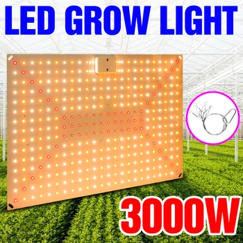 3000W Fito Lâmpada Para a Planta de Espectro Completo de Led Cresce a Luz de Crescimento Luz Hidroponia Iluminação Interior Flor Semente Quantum Conselho 2000W